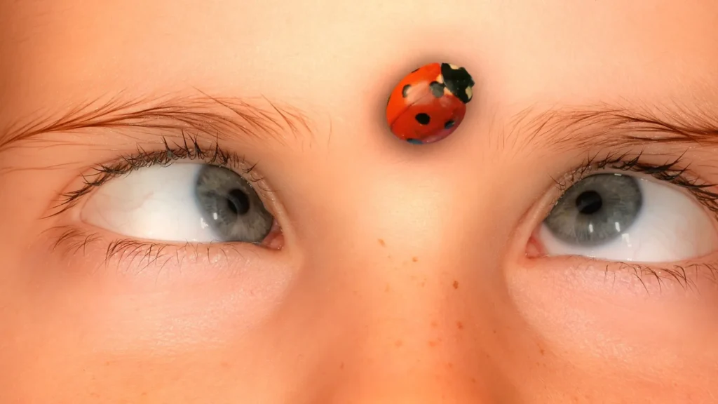 Child fitting the Ladybug in her center of eyebrows and thinks she looks cute
