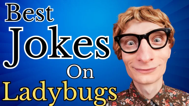 50 Best Ladybug Jokes: Best Collection on The Internet
